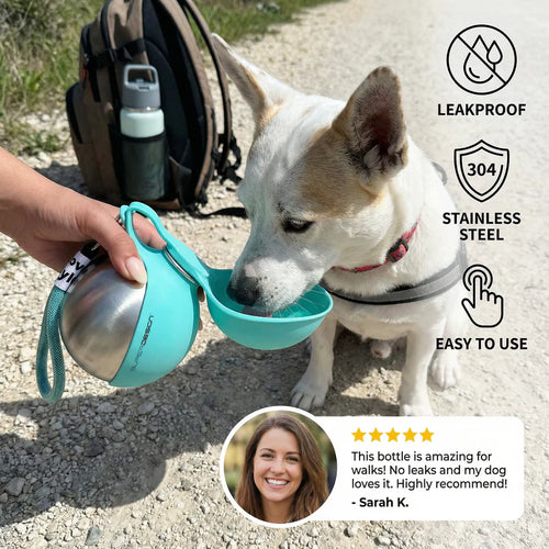 2-in-1 Portable Water Bottle